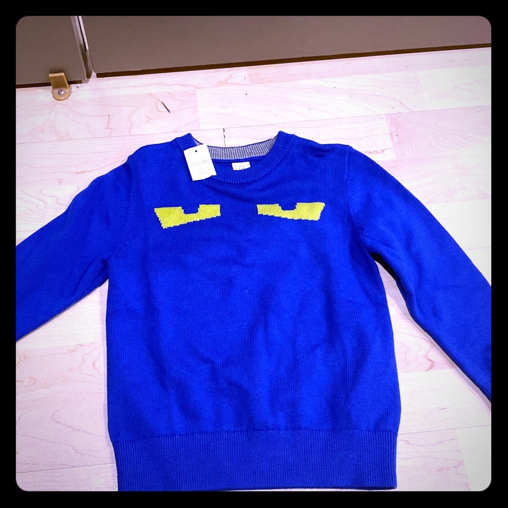 Baby Gap Boys Blue Sweater